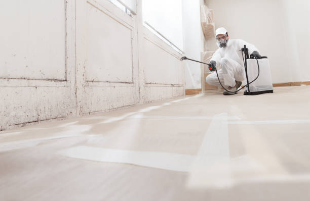24/7 Emergency Commercial Mold Remediation experts in Freeburg, IL
