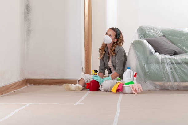 Reliable Commercial Mold Remediation contractor in Freeburg, IL by WQB Mold Removal